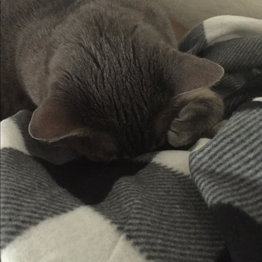 Meet your Posher, ED